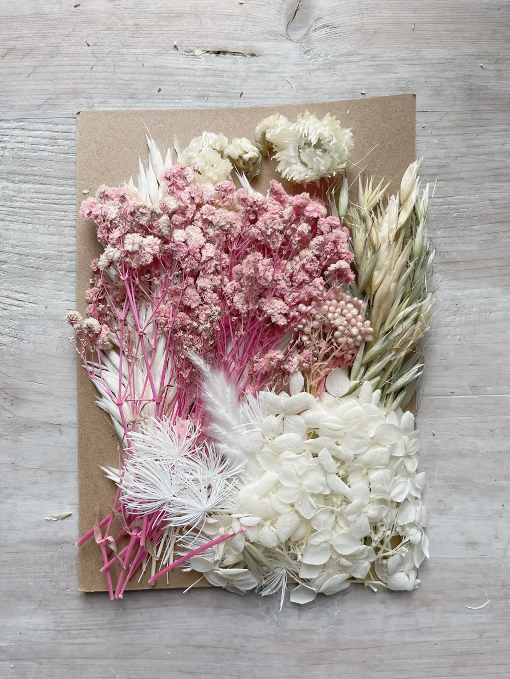 Kit fiori essiccati